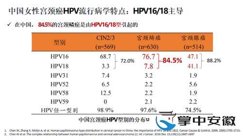 国产你懂的网站